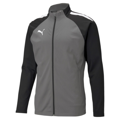 Puma Trainingsjacke teamLIGA Poly grau Herren